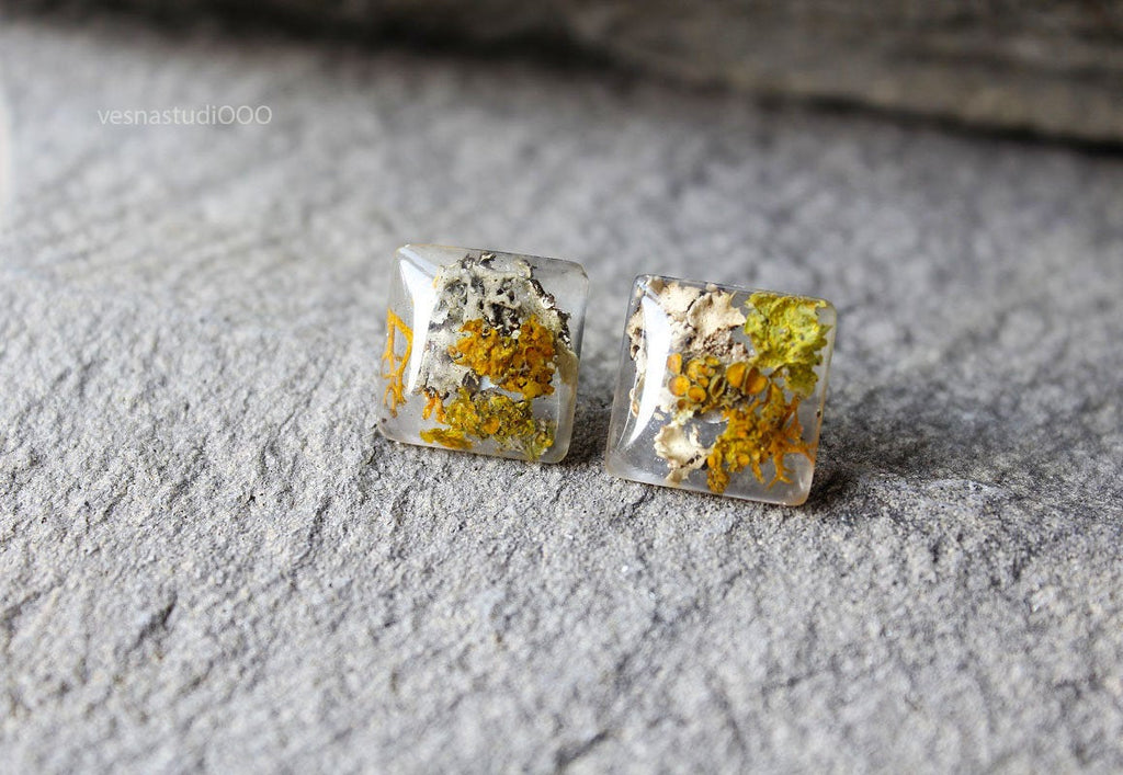 Moss Lichen Terrarium Earrings