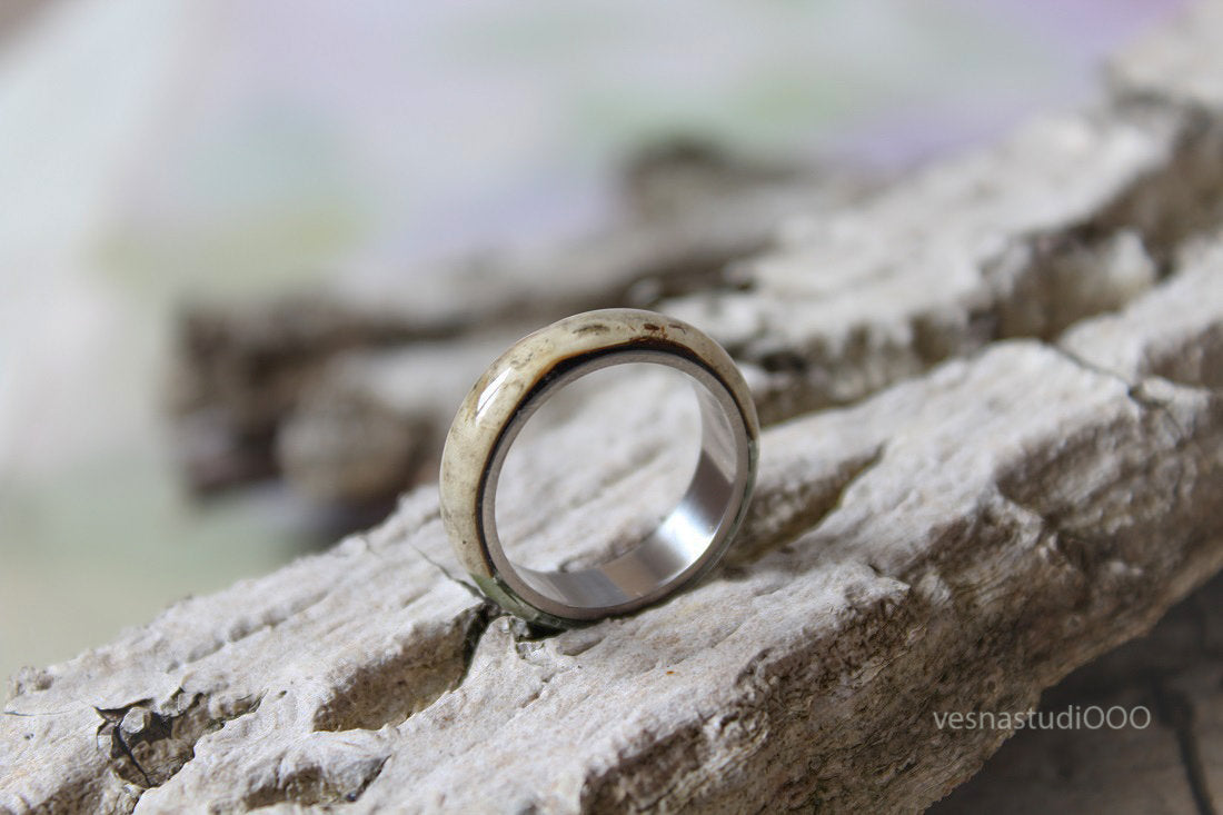 Titanium Fern Ring