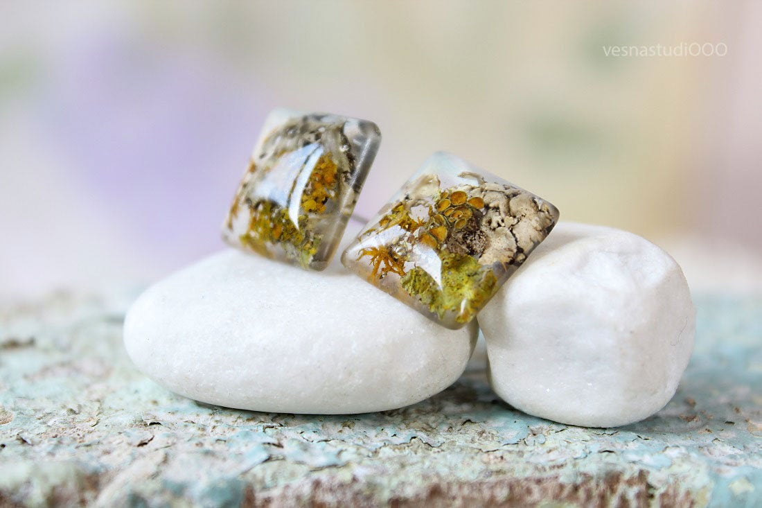 Moss Lichen Terrarium Earrings