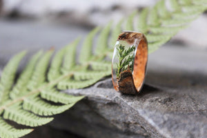 Juniper Birch Bark Ring